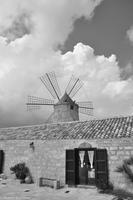 Salzstraße - Salinen von Trapani