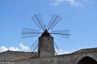 Salzstraße - Salinen von Trapani
