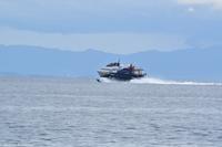 Aliscafi - Tragflächenboot