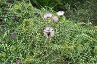 Insel Vulcano - Aufstieg zum Gran Cratere