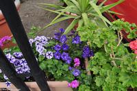 Insel Vulcano - Aufstieg zum Gran Cratere