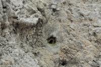 Insel Vulcano - Überall tritt heißer Schwefeldampf aus