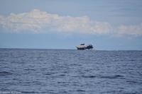 Aliscafi - Tragflächenboot