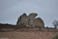 Rocche dell Argimusco - Der Adler
