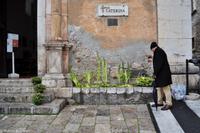 Taormina - Palmenblätter für Palmsonntag