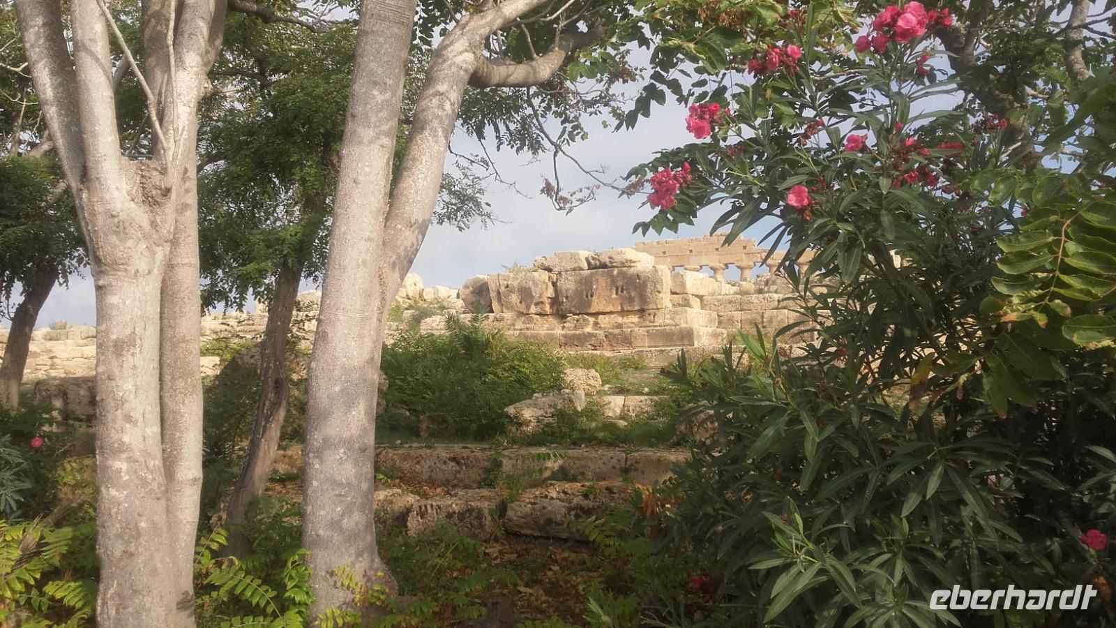 Blick vom Spanischen Wachturm auf Tempel C