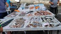 Fischmarkt  Catania