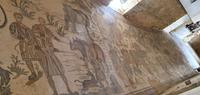 Villa Romana- Bodenmosaik der Großen Jagd- 70 Meter lang!