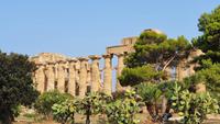 Selinunte- Hera Tempel