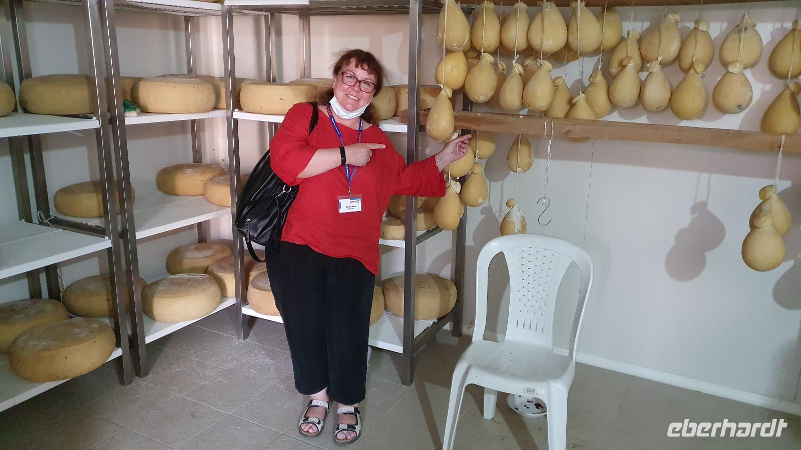 Käse aus den Agriturismo Borgo San Nicolae