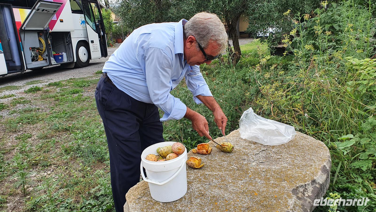 Rosario schält für uns Kaktusfeigen