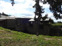 Piazza Amerina - Villa Romana - Sizilien