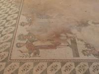 Piazza Amerina - Villa Romana - Sizilien