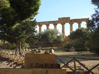 Tal der Tempel - Sizilien