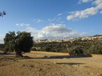 Tal der Tempel - Sizilien