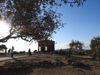 Tal der Tempel - Sizilien