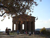 Tal der Tempel - Sizilien