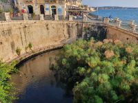 Syrakus, Arethusa Quelle