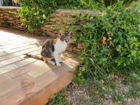 Agriturismo Cade di Latomie