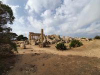 Selinunte, Trümmer des Tempel F und Tempel E hinten