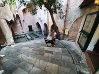 Cefalu, mittelalterlicher Waschplatz