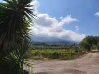 Agriturismo Borgo San Nicolao