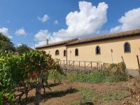 Agriturismo Borgo San Nicolao