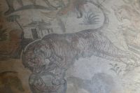 Mosaike  Villa Casale