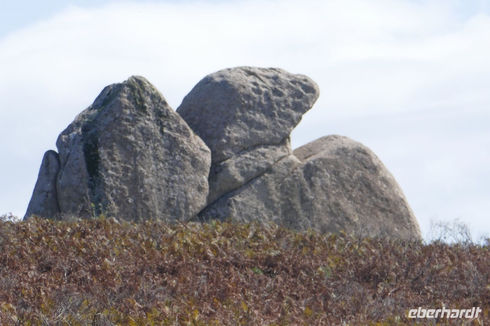 Hochebene  von Argimusco  Megalithen  Adler