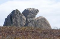 Hochebene  von Argimusco  Megalithen  Adler