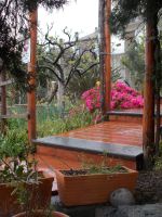 DSCN5471.JPG   Frühling