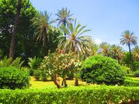 Im Palmengarten von Palermo