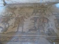 DSCN5506.JPG    Mosaik Jagd