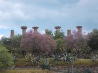 DSCN5531.JPG  Agrigent im Frühling