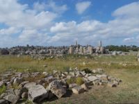 DSCN5561.JPG   Selinunte