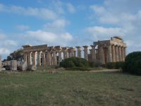 DSCN5563.JPG   Parco Archeologico Selinunte