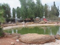 und dahinter die kleine Tierfarm.JPG