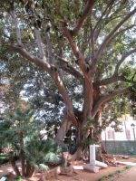 einfach nur gigantisch.JPG