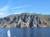 die ersten Bilder.JPG