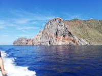 immer neue Bilder.jpg