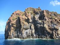 welche Kreationen der Natur.JPG