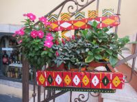 Blumen und Blumenkästen.JPG