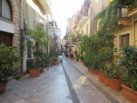 Überall Pflanzen.JPG