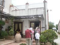 Wir gehen zur Olivenölverkostung