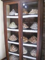 Köstlichkeiten aus Erice