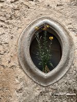 Montalbano Elicona (8)