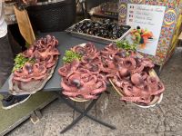 Sightseeing in Palermo (11)