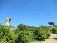 Neapolis - Felsen und das üppige Grün