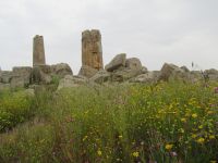 Selinunte - die Natur erobert sich das Terrain