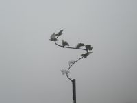 Erice - Kunst im Nebel